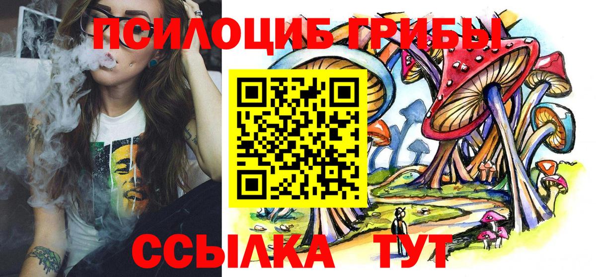 Богородск  закладка  Вход с VPN  Псилоцибиновые грибы GOLDEN TEACHER 